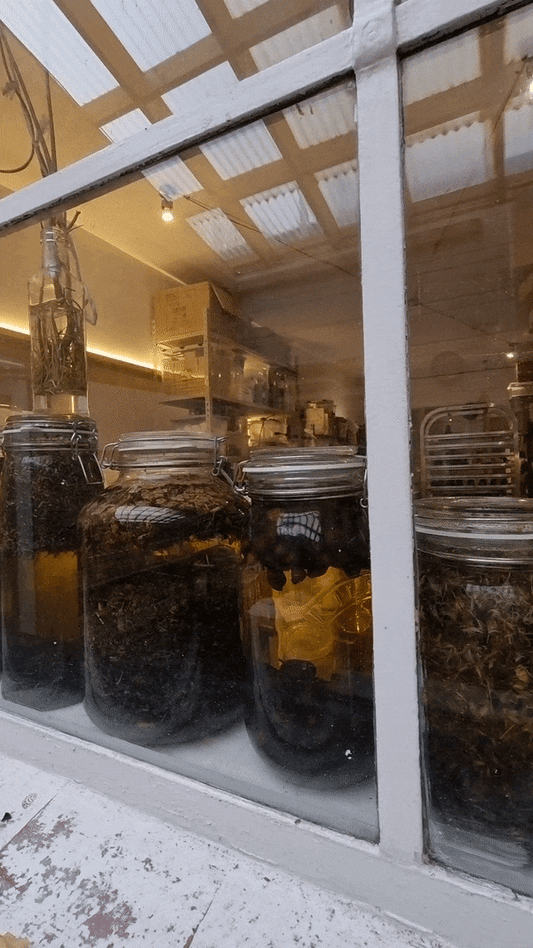 In the kitchen, warming the cold