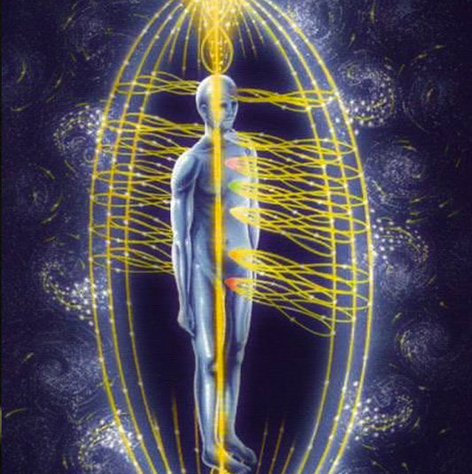 Awaken Your Immune System By Breath + Cold + Mental Focus