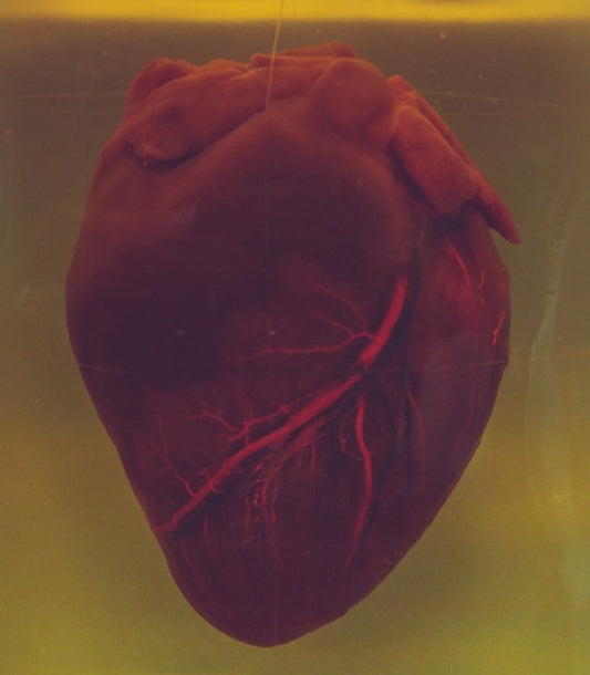 The Healing Heart