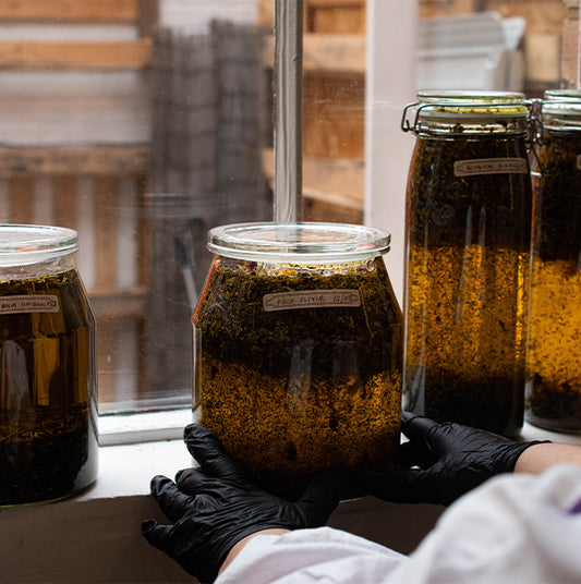Herbal Folk Medicine and the Magic of Slow Infusions