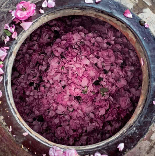 Rose Water: The Fundamental Skincare Saviour