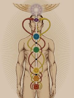 Chakras = Mini Brains