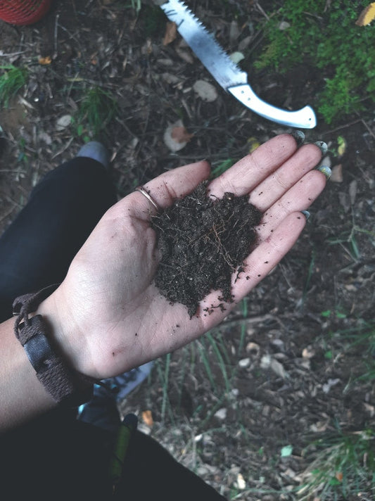 Skin of The Earth