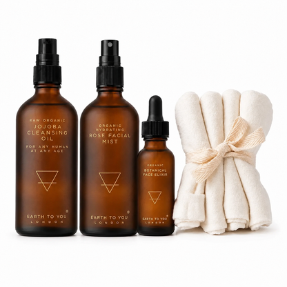 Flow Daily Face Ritual