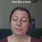 Flow Daily Face Ritual
