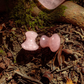 Niobe Mushrooms / Rose Quartz